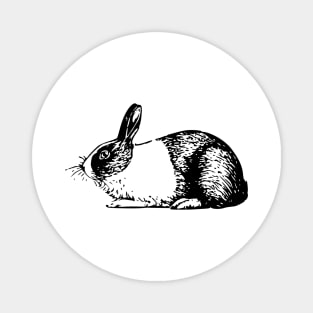 cute rabbit Magnet